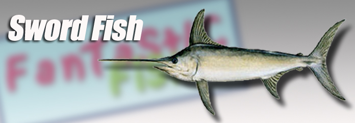 Fantastic Fish Company, Miami, Fl.