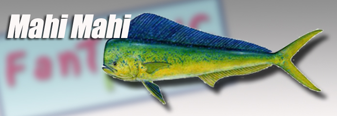 Fantastic Fish Company, Miami, Fl.