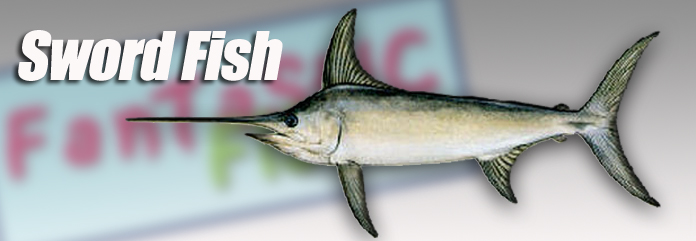 Fantastic Fish Company, Miami, Fl.