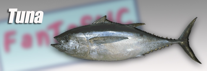 Fantastic Fish Company, Miami, Fl.